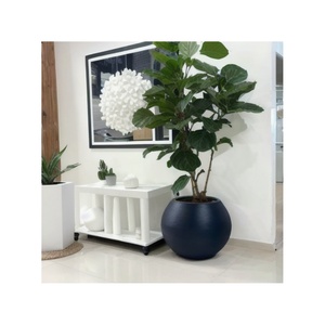 Macetas Esféricas Grandes de Fibra de Vidrio Ecológicas y Modernas para Jardín, con Orificios de Drenaje, Ligeras, Duraderas, Pintadas, para Interiores y Exteriores - Product Image 2