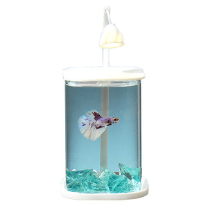 Giardino delle vacanze acquario decorativo solare, piccolo ed elegante <span class=keywords><strong>effetto</strong></span> di luce notturna da scrivania cilindrica - Product Image 5