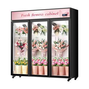 Refrigerador/Exhibidor de Flores Transparente BoJin Sin Escarcha de 2/3 <span class=keywords><strong>Puertas</strong></span> para Floristería - Gabinete Comercial Sin Drenaje - Product Image 6
