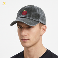 100% coton Baseball papa chapeau Snapback casquette broderie personnalisée Logo texte variété (léopard point Argyle Fruit) lavé Oxford caractéristique