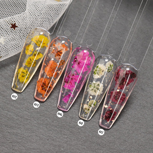 Low Heat Gypsophila Gel <b>Builder</b> HEMA & TPO FREE Dry Flower Nail Extension Gel Non Toxic <b>Builder</b> in a Container Custom Logo - Product Image 1