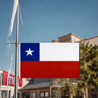 Drapeau du Chili personnalisé en polyester, taille 3x5 pieds (90x150 cm), avec œillets en laiton