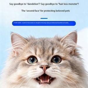 개와 고양이를 위한 고효능 <span class=keywords><strong>D</strong></span>-비오틴 정제, 피부 건강 개선 및 두꺼운 외투 성장 촉진 - Product Image 3