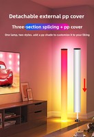 Lampe d'ambiance sur pied à changement de couleur RVB pour salon, esthétique haut de gamme pour les fêtes et les rassemblements