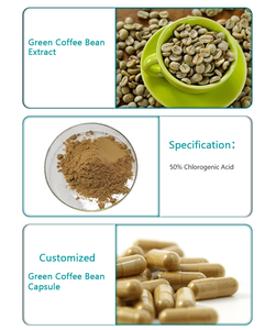 프리미엄 유기농 녹색 커피빈 추출물 분말 건강 보조제 클로로겐산 4% 25% 50% 최저가 - Product Image 2