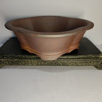 Pot à bonsaï en forme de prune, classique, sculpté à la main, écologique, best-seller, pour la maison et le jardin