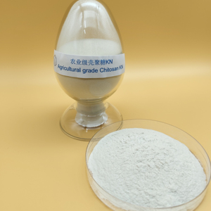 Nhà Máy Trực Tiếp Hot Bán Sinh Học Phân Bón Chitosan Kn Cho Nông Nghiệp - Product Image 3