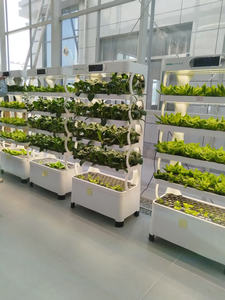 Nouvelle ferme hydroponique verticale intérieure intelligente-Système intelligent de culture de fruits et légumes - Product Image 6