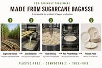 Assiette jetable en bagasse 10 pouces 3 compartiments biodégradable compostable écologique sans PFAS 50 paquets étanche