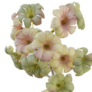 Fleur artificielle de haute qualité, longue branche, fleur sauvage, primevère du soir, <span class=keywords><strong>trompette</strong></span> persane, pour la décoration de la maison, <span class=keywords><strong>fausse</strong></span> fleur - Product Image 2