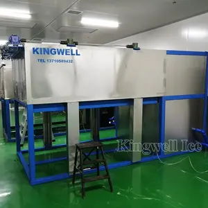 Kingwell Clear Ice Pure Producing Machine 2 Ton For Making Sphere Square Clear Ice