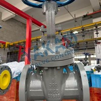 Vanne à opercule en acier inoxydable 316L API 600 pour usine chimique, à opercule boulonné, haute pression