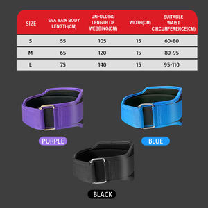 Cintura di Supporto Lombare Universale Regolabile per Allenamento di Forza, Fitness, Squat Profondi e Sollevamento Pesi - Product Image 2