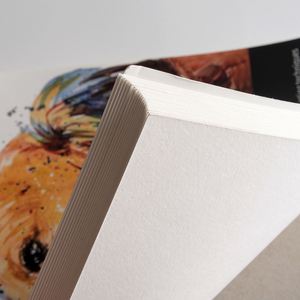 Chất lượng cao 300g A4 giấy màu nước 140lb 20 tờ thô & bột gỗ hạt mịn để vẽ & sơn - Product Image 2