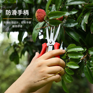 Tijeras de podar Pinheng de acero inoxidable con mango de plástico rojo, podadora de bypass para injerto de frutas, verduras, bonsáis y flores. - Product Image 4
