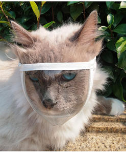 Transparent Cat Eye Mask Anti-Bite & Anti-Barking Breathable Open View Wildcat Headgear for <b>Pet</b> Cleaning & Grooming - Product Image 3