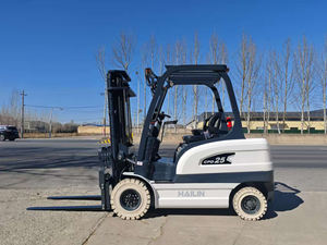 Montacargas Eléctrico de Alta Configuración con Certificación CE ISO, Nuevo, Componentes Principales Incluidos - Product Image 3