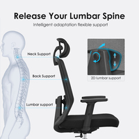 Chaise de bureau ergonomique à dossier haut avec support lombaire 2D, chaise de bureau pivotante en maille pour postes de travail, Silla De Oficina