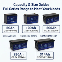 Paket Baterai LFP Lifepo4 12.8v 200Ah untuk Sistem Penerangan Darurat, Penerangan Jalan Tenaga Surya, Penyimpanan Energi Campervan