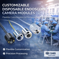 Embout métallique pour module de caméra d'endoscope à usage unique avec source lumineuse, conception OEM ODM, endoscope flexible