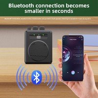 Amplifier Mini Nirkabel 10W Model Pribadi untuk Penggunaan di Rumah dan Luar Ruangan, Satu-ke-Dua Mikrofon Lavalier Kecil Model Lebah, Penerima Plastik untuk Guru