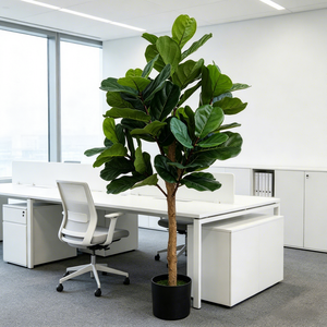 Árbol Artificial de Ficus Lyrata en Oferta, Árbol Artificial al por Mayor para Eventos, Navidad, Fiestas de Cumpleaños, Decoraciones, <span class=keywords><strong>Regalo</strong></span> del Día de la <span class=keywords><strong>Madre</strong></span> - Product Image 4