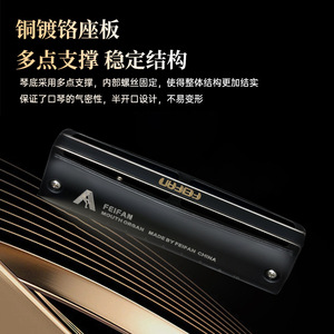 Feifan 10 Hole Blues Harmonica Mc20 Diatonic Mouth Organ For Beginners And Professionals Made In China - Product Image 5