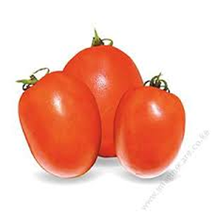 Cultivo de tomate Moon Star, fruta ovalada alargada de color rojo intenso, alta productividad, adecuado para agricultura comercial - Product Image 2