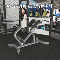 Chaise romaine multifonctionnelle en acier pour extensions dorsales et hyperextensions – Équipement de gym commercial et domestique
