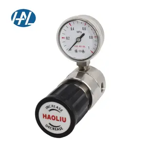 High Quality High Pressure Gas Adjustable Regulator with Gauge Stable Pressure Control air pressure regulator for CL2 CO2