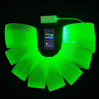 Kits d'éclairage en maille à fibre optique à LED pour plafond de restaurant et décoration d'arbre de jardin Filet de fibre optique à lueur latérale