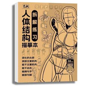 สมุดฝึกวาดการ์ตูนแบบ<span class=keywords><strong>วาด</strong></span>มือสำหรับผู้เริ่มต้น-แบบโบราณ ฉบับ Q โครงสร้างร่างกายมนุษย์ คู่มือการวาดภาพด้วยปากกา - Product Image 6