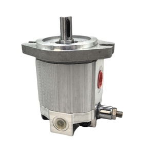 Pompa Idraulica a Ingranaggi PTO ad Alta Pressione 250 Bar <span class=keywords><strong>2</strong></span> HP Monostadio Tipo Olio Garanzia 1 Anno Connessione 1/4 Pollici Miglior Prezzo - Product Image 2