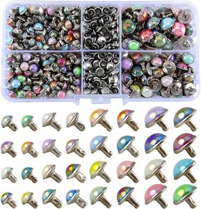YORANYO Kits de rivets en cuir de tailles variées, rivets à couleurs AB mélangées, rivets cloutés pour vêtements, rivets rapides en forme de dôme pour ceintures et sacs - Product Image 1