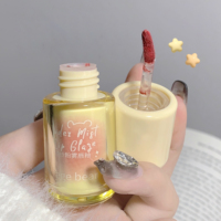 Gloss à lèvres rose imperméable longue tenue mignon en gros, mini tubes de gloss à lèvres avec boîte et logo, rouge à lèvres liquide mat