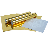 Film PET DTF doré de haute qualité 30 cm, papier et film de transfert thermique pour imprimante DTF