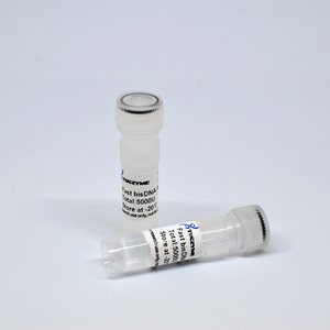 Набор для быстрого зонда Tinzyme bisDNA - Product Image 4