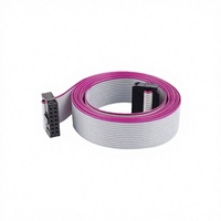 Produsen Kabel Pita Datar OEM AWG 2651 6-64Pin Konektor IDC 2.54mm Kabel Harness untuk Peralatan Industri Komputer