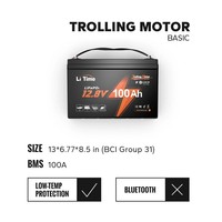 Batterie LiFePO4 LiTime 12V 100Ah Groupe 31 à décharge profonde pour moteur de pêche marine – Vente en gros