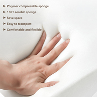 Sofá Cama Compresible al Vacío, Sofá de Baja Altura para Apartamentos Pequeños, Fácil Montaje, Muebles Modernos
