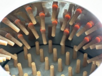 Plumeuse à poulet entièrement automatique grande capacité, modèle 60, avec nouveau moteur à roulement pour ligne d'abattage de cailles