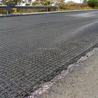 Geomalla de Poliéster Tejida por Urdimbre 50KN-300KN con Certificación CE para Refuerzo de Muros de Contención