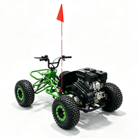Go Kart Todoterreno a Gasolina, Buggy de 2 Plazas, Vehículo para Dunas, Buggy Todoterreno para Carreras en el Desierto al Aire Libre