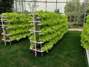 Sistema de Cultivo Hidropónico, Tubo de Canal NFT de PVC, Invernadero, Granja, Sistema de Cultivo Vertical en Torre Hidropónica - Product Image 6