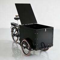 Tricycle électrique à pédales 3 roues pour adulte, vélo cargo urbain, tricycle utilitaire, vélo cargo, vélo cargo électrique, semi-camion cargo
