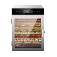 Commerciële voedseldroger van roestvrij staal, elektrisch, voor fruit, groenten, vlees en jerky, grote capaciteit, 10 bakplaten