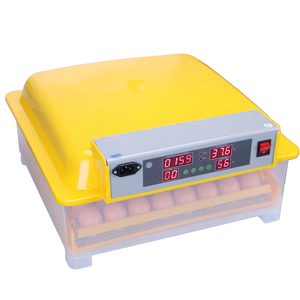 Máy Ấp Trứng 48 Trứng Với Nhiệt Độ Ấp Trứng Gà Mái - Product Image 4