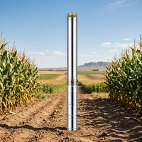 Pompe submersible monophasée fiable de 3 pouces en acier inoxydable 304 pour puits profond, débit de 2 m³/h, 8 étages, hauteur de refoulement de 34 m pour l'irrigation des jardins