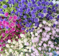 Bouquet de fleurs artificielles Gypsophila en vrac, Gypsophile blanc pour arrangements floraux DIY