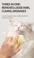 ABS Matériel Chat Cheveux Spritz Cloud Care Brosse À Vapeur Chien Peigne Pet Nettoyage Toilettage Outil avec Enlèvement Remover Slicker pour Chats